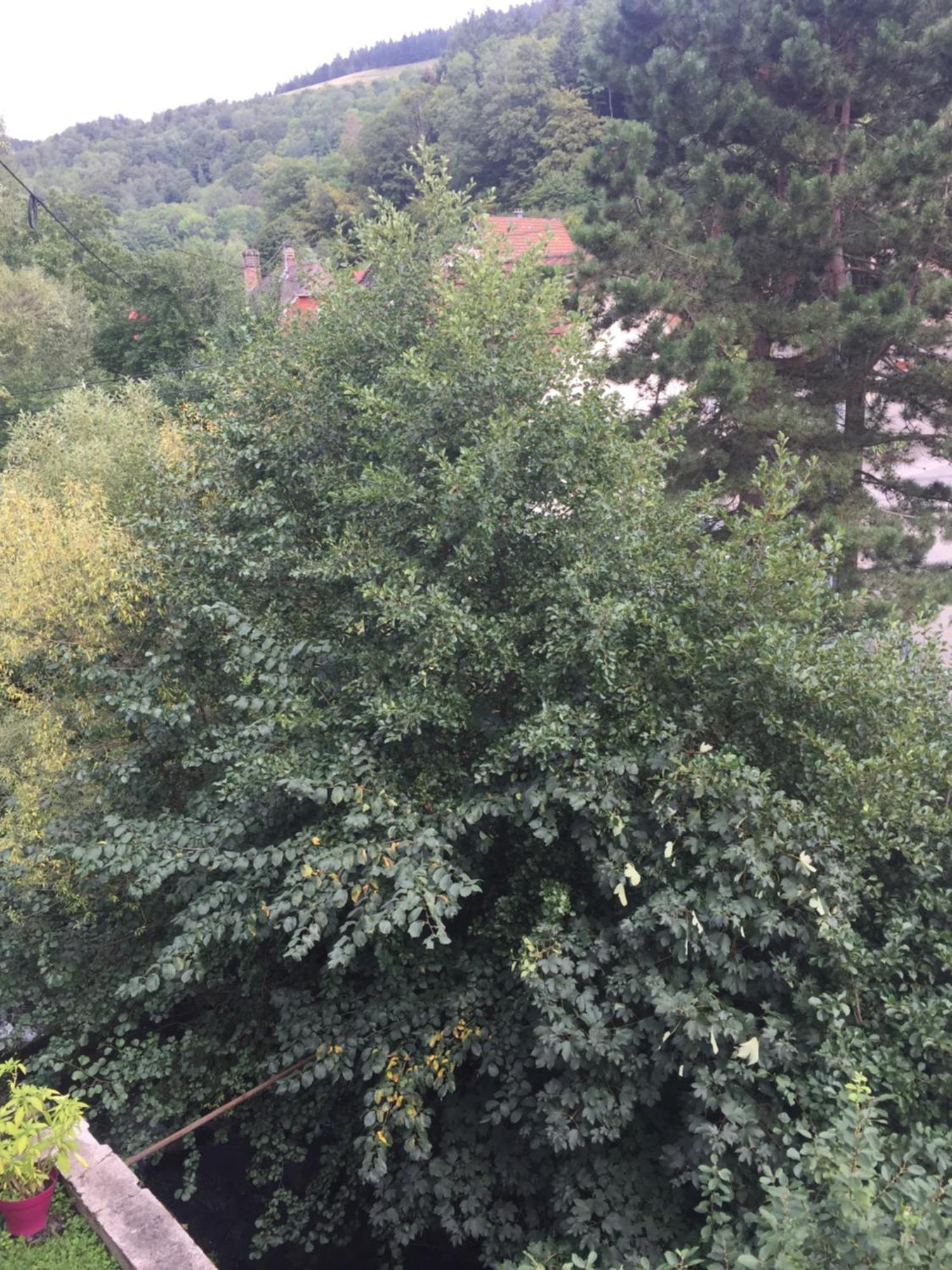 D'hotes A La Fecht Nature Et Bien-etre Sondernach